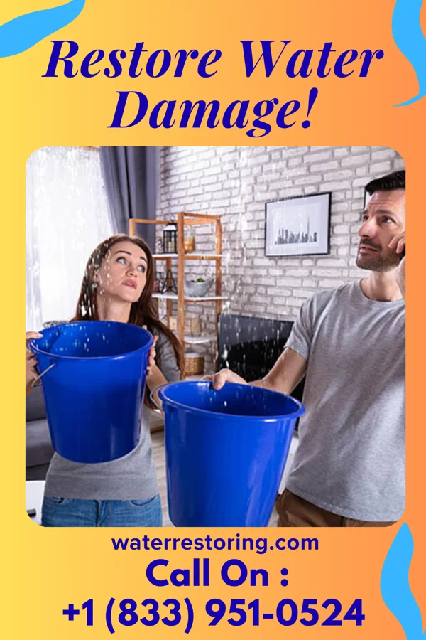 water restoration Ace Flood Damage & Sons Withee