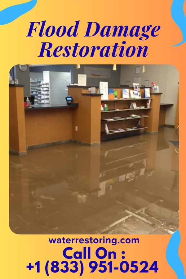 Flood Damage Restoration in Withee, WI
